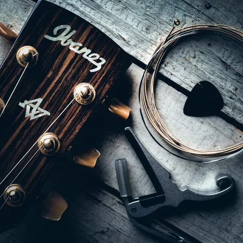 Guitar